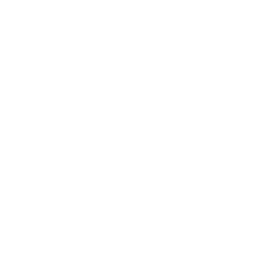 ecommerce store